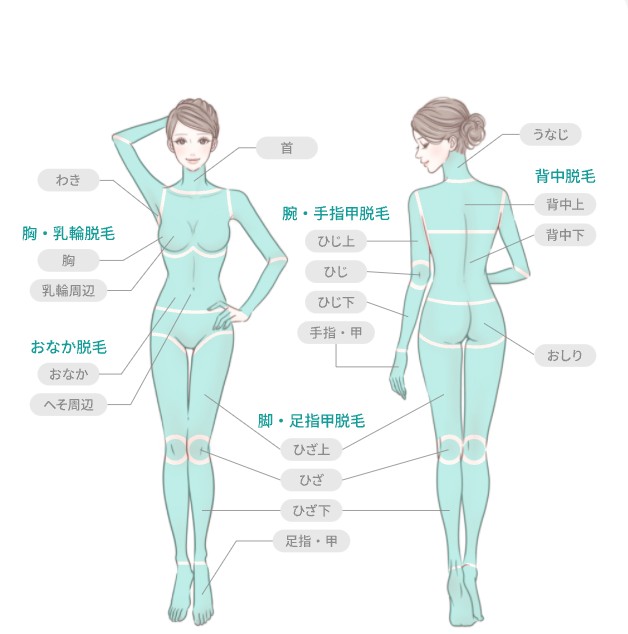 トイトイトイクリニック脱毛範囲