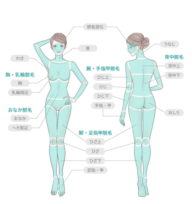 トイトイトイクリニック脱毛範囲